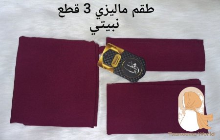 نبيتي